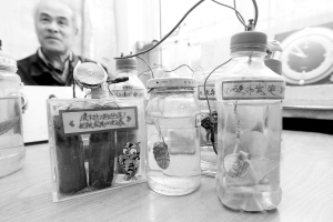 樹葉也能發電,用樹葉當電池的電子表,您見過嗎?